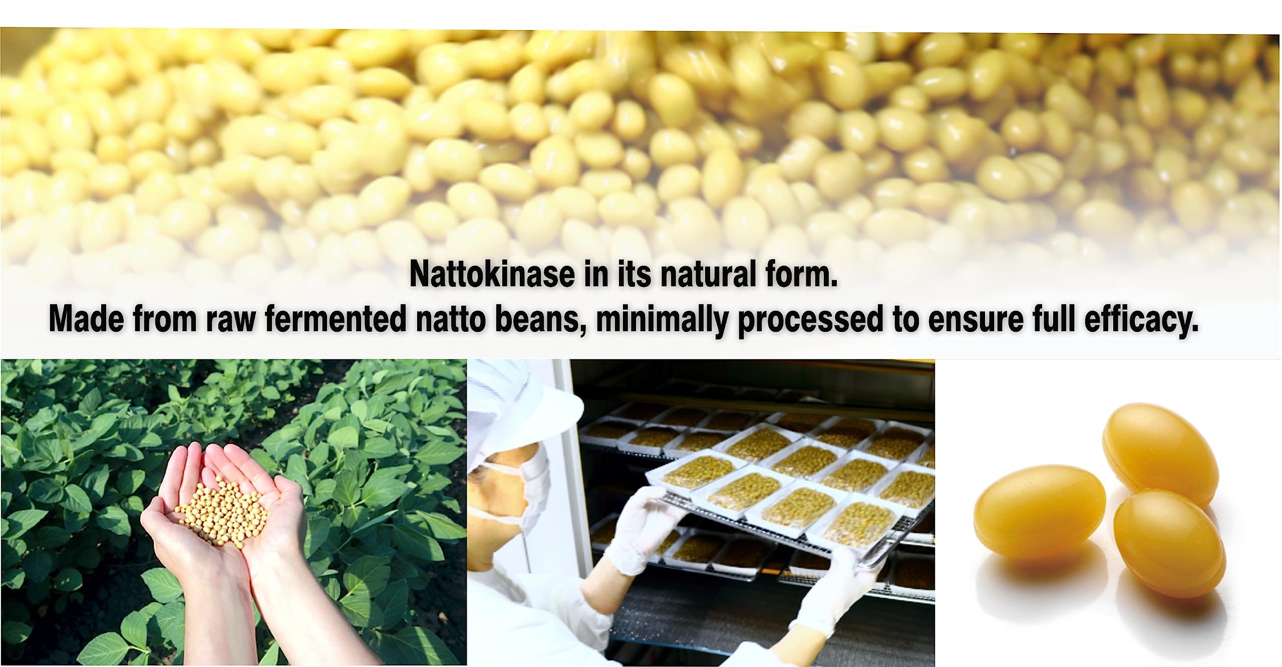 PHARMAKON Nattokinase – soja fermenté biologique, source naturelle