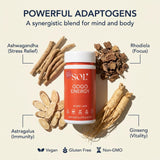 Sol Nutrition Gogo Energy: capsules faciles à avaler pour énergie soutenue.