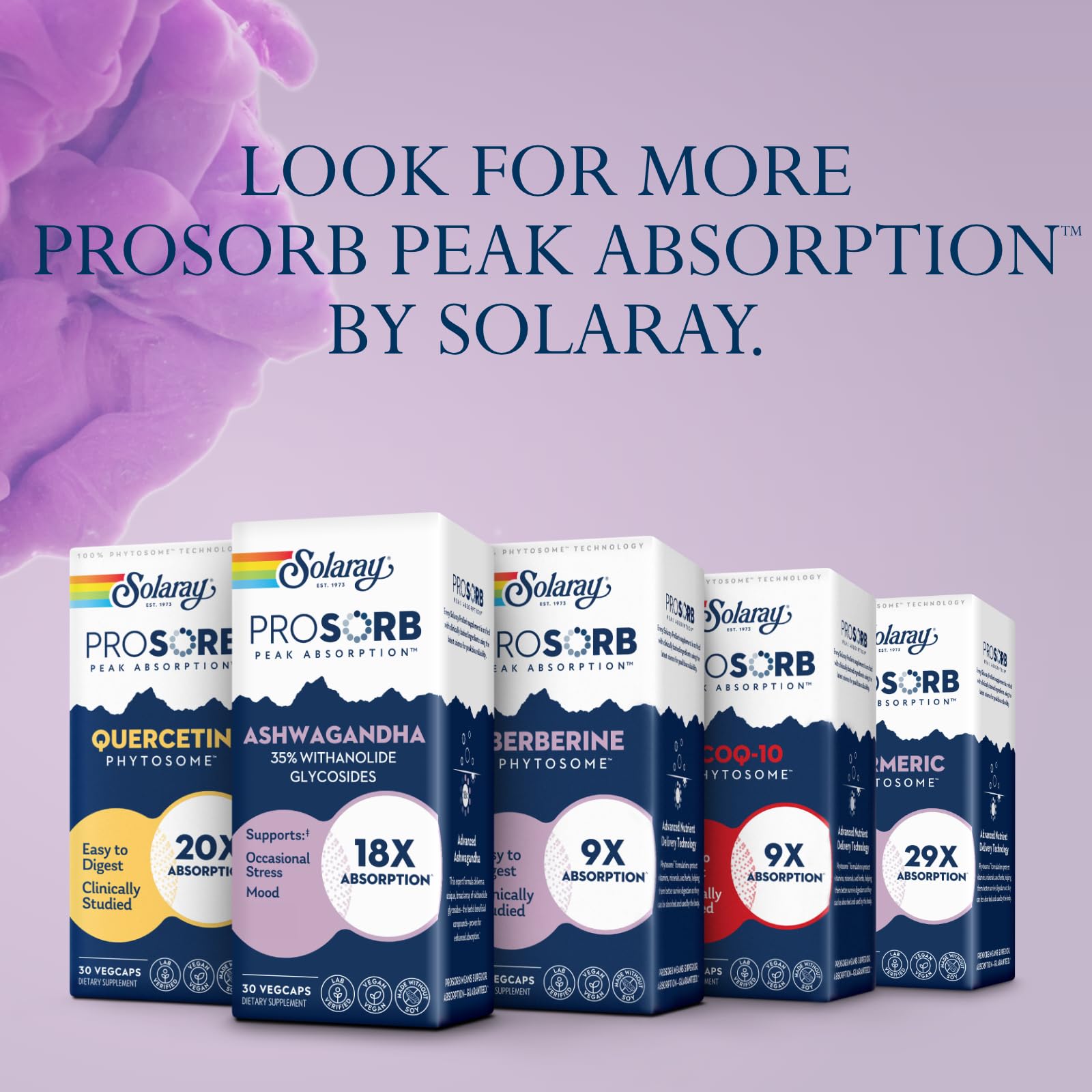 Certifications GMP SOLARAY Ashwagandha – fabrication fiable