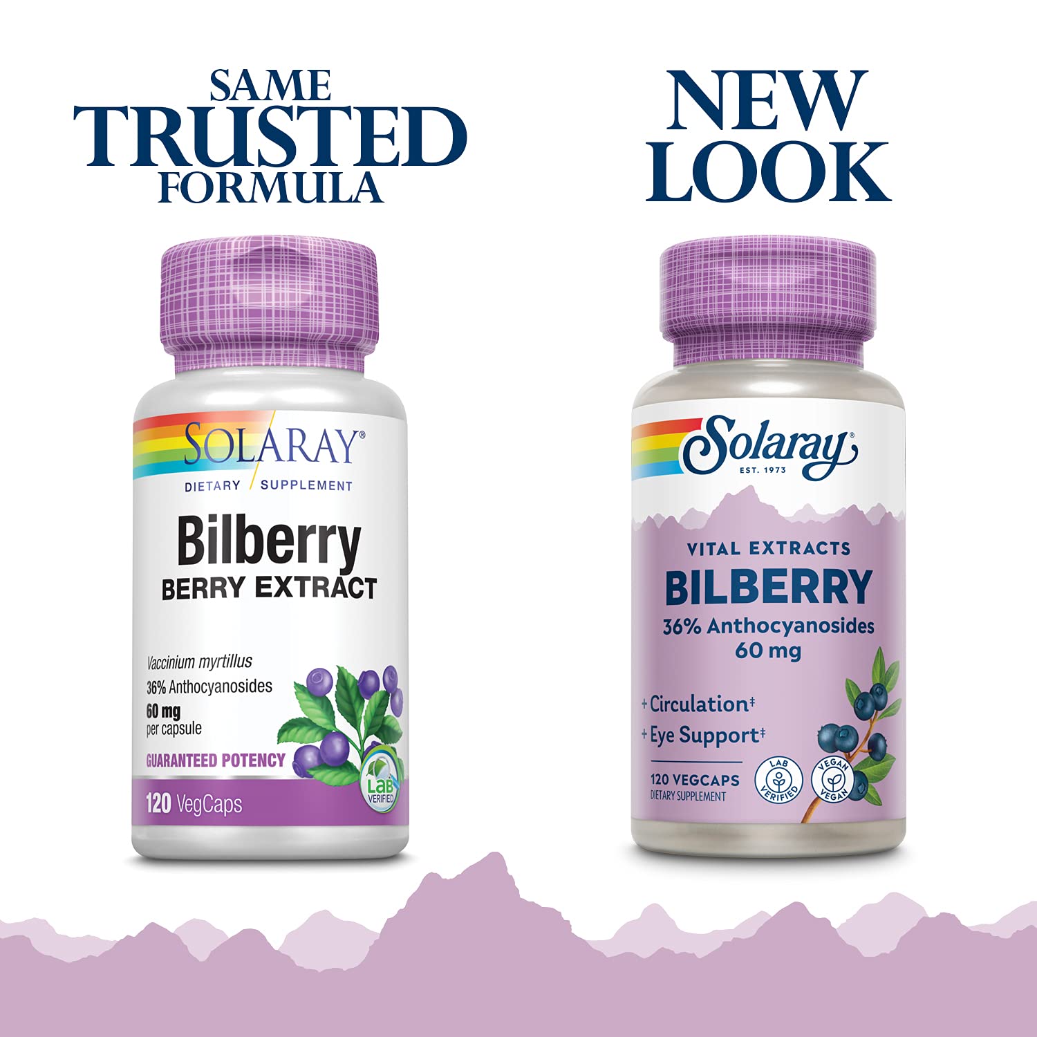 SOLARAY Bilberry Extrait – capsules végétales faciles à prendre et potentiellement bénéfiques.