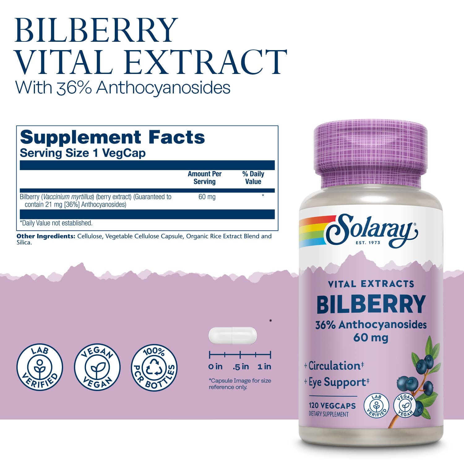 SOLARAY Bilberry Extrait – étiquette claire indiquant la qualité et les anthocyanosides.