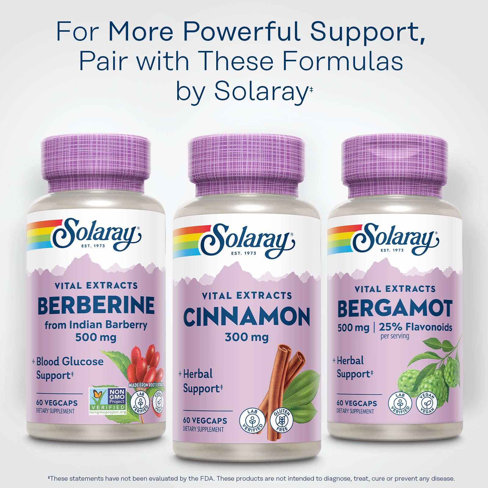 SOLARAY Cannelle Extrait 300 mg – Flacon sans gluten pour un mode de vie sain.