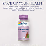 SOLARAY Cannelle Extrait 300 mg – Étiquette et traçabilité visibles de la formule.