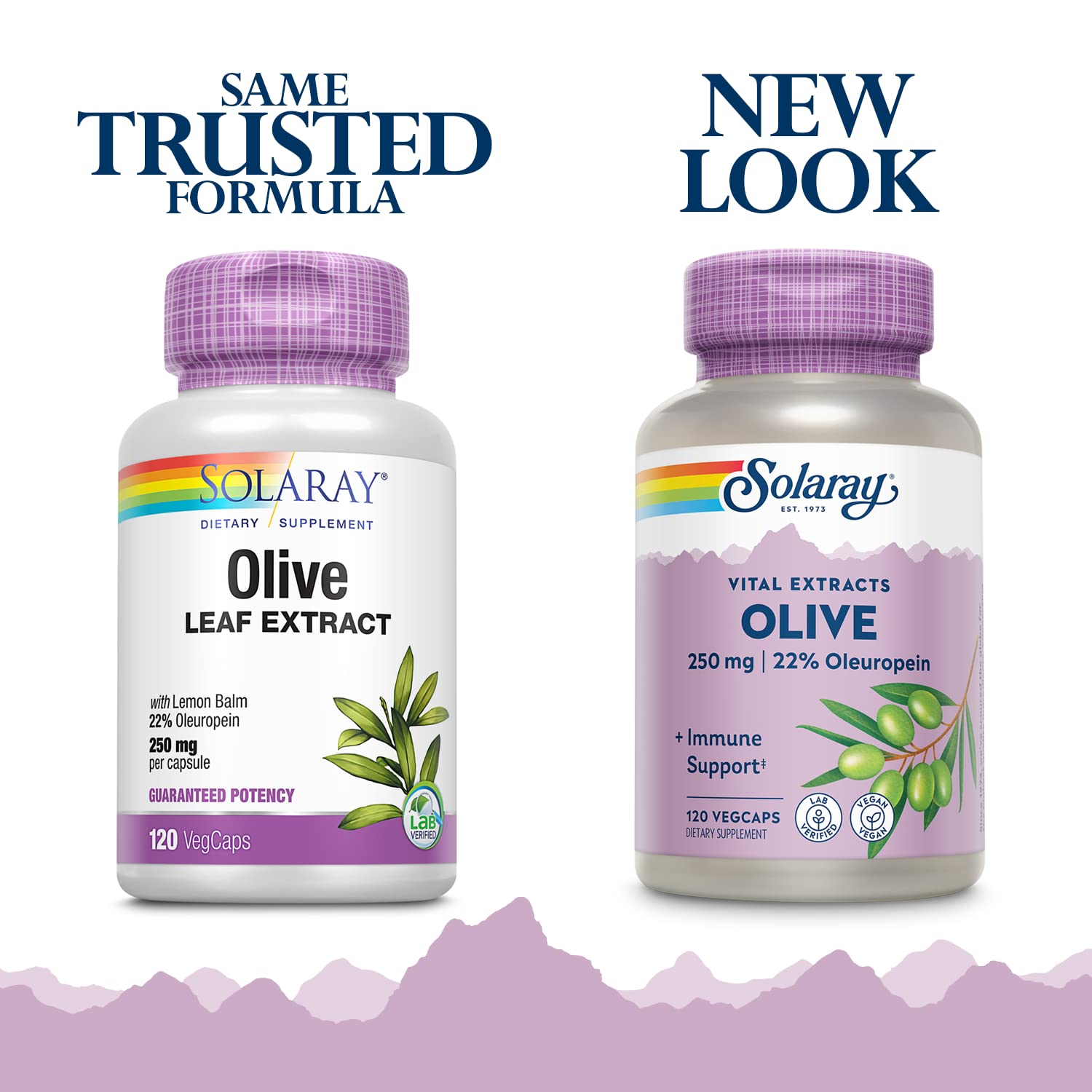 SOLARAY capsule vegane olive-feuille oleuropeine 22 pourcent : concentration clé.