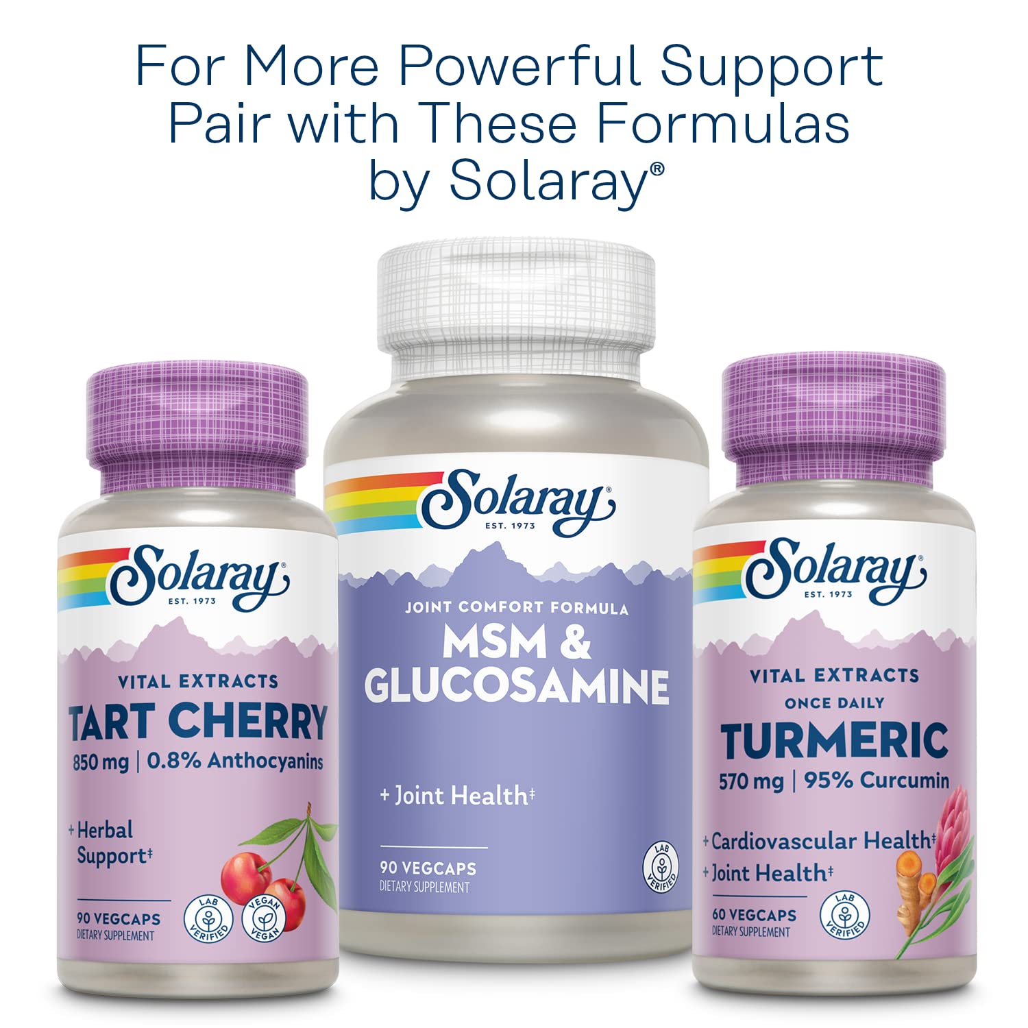 SOLARAY Céleri Seed – garantie satisfait ou remboursé