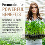 SOLARAY Chaga Fermenté — emballage soigné, fabricant fiable et vérifié en laboratoire.