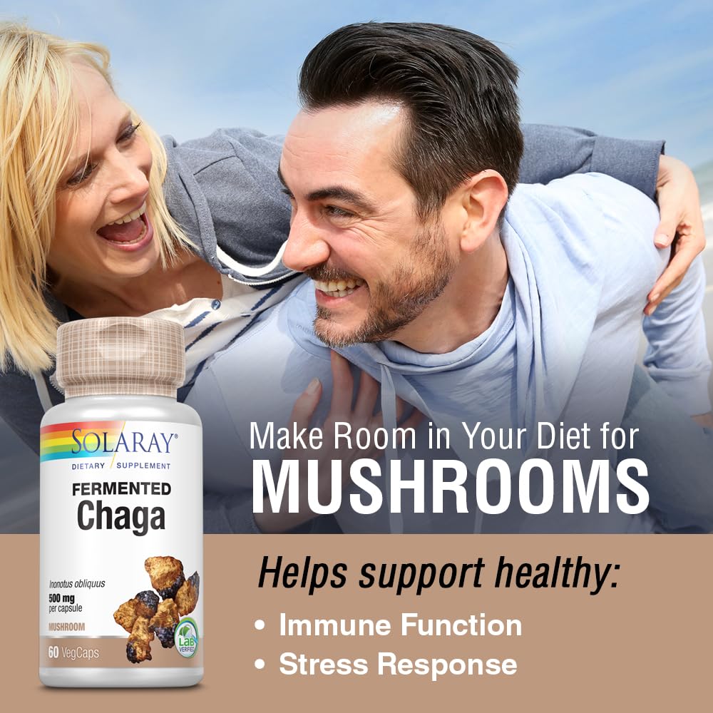 SOLARAY Chaga Fermenté — processus de fermentation, nutriments pré-digérés pour une meilleure biodisponibilité.