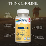 SOLARAY Choline 500 mg: etiquette-label claire assurant traçabilité et qualité.