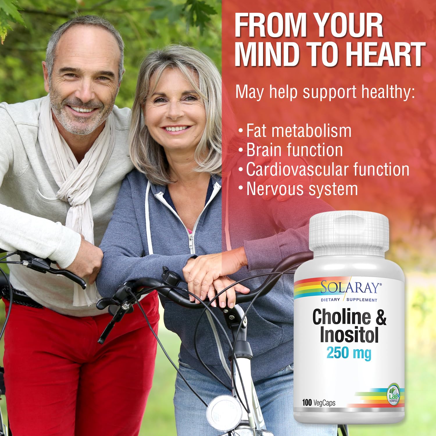 SOLARAY Choline & Inositol - flacon sur étagère soutenant la concentration et la clarté.