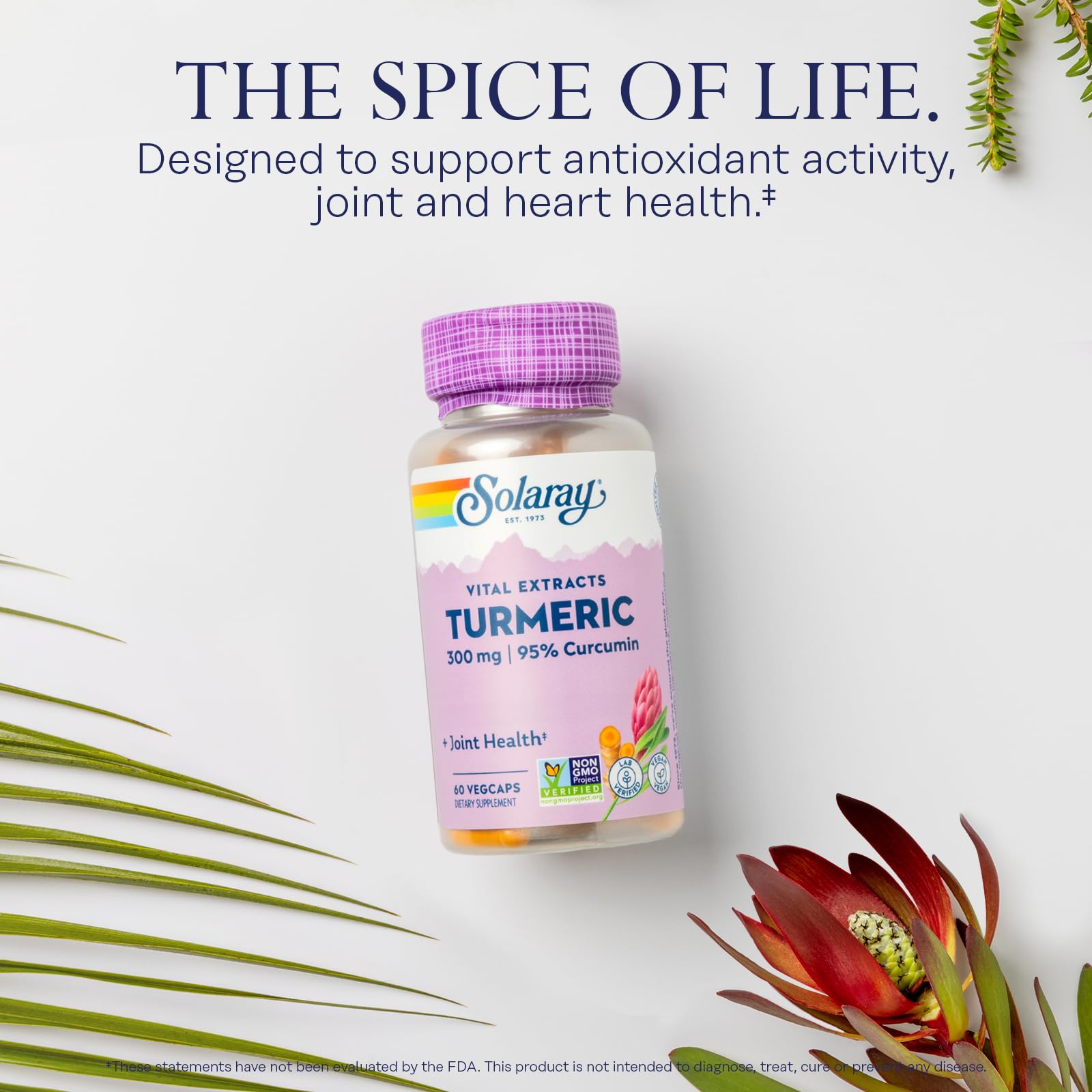 SOLARAY Curcuma: aperçu des articulations et du mouvement.