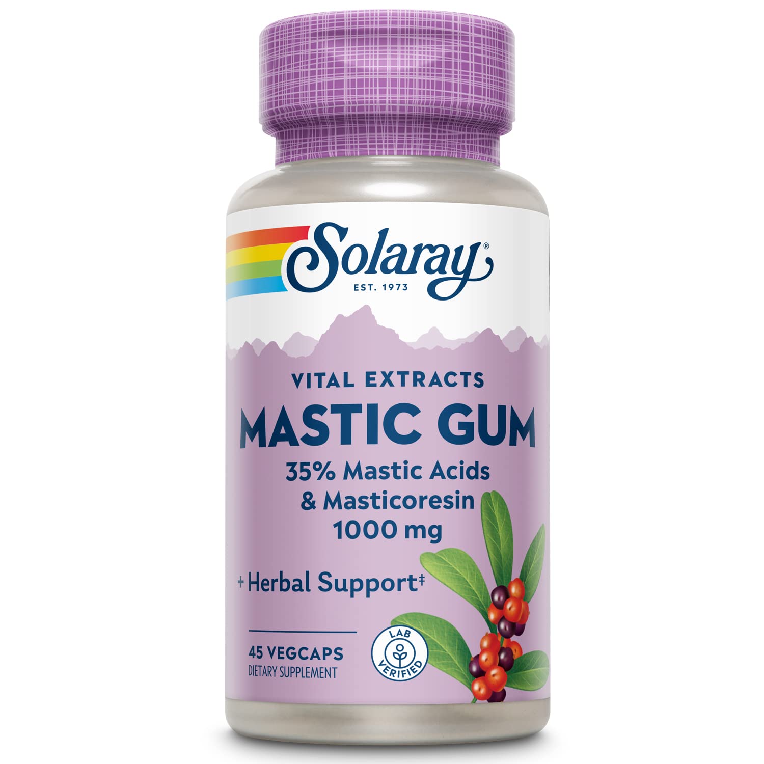 SOLARAY Extrait de Mastic 500 mg — bouteille pratique pour l'usage quotidien.