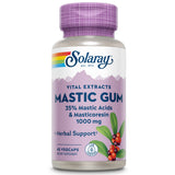 SOLARAY Extrait de Mastic 500 mg — bouteille pratique pour l'usage quotidien.