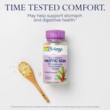 SOLARAY Extrait de Mastic 500 mg — capsules faciles à avaler pour le quotidien.