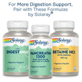 SOLARAY Extrait de Mastic 500 mg — emballage PCR respectueux de l'environnement.