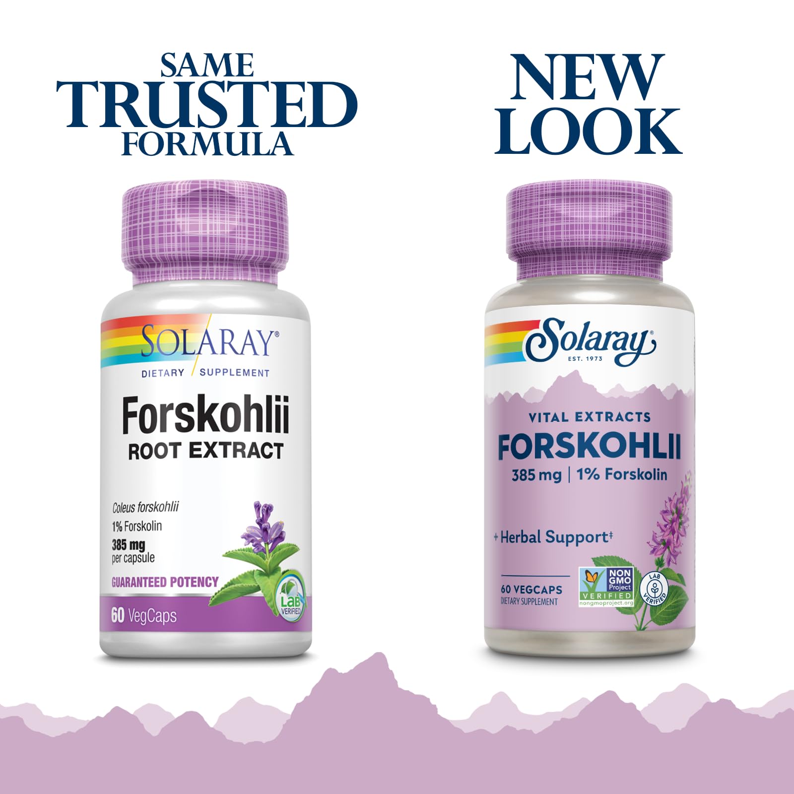 SOLARAY Forskohlii 385 mg – Capsules sur étagère pour soutenir un mode de vie actif