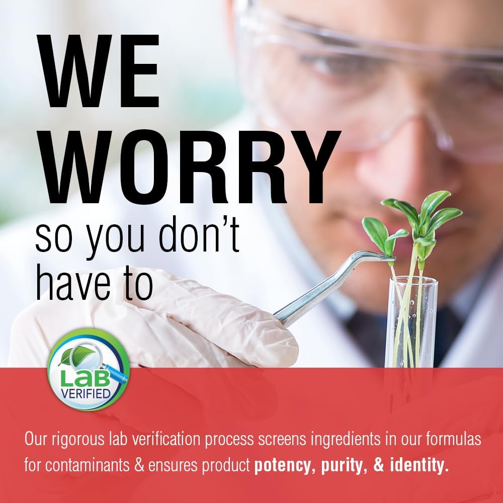 SOLARAY Ginger Trips Format 60 Gommes: praticité pour le voyage.