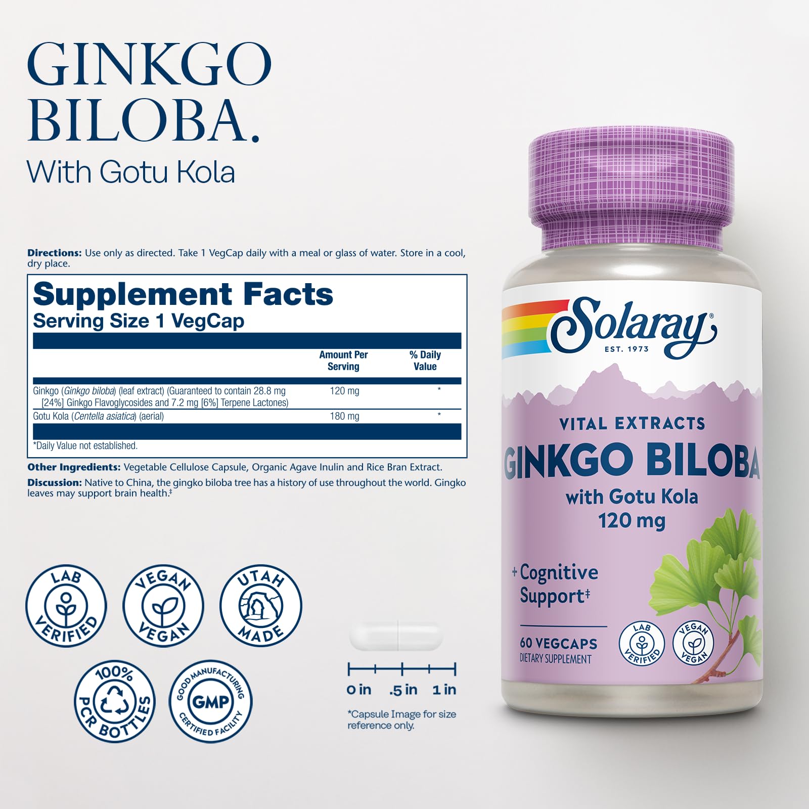 SOLARAY Ginkgo Biloba avec Gotu Kola – capsules faciles à avaler pour concentration.