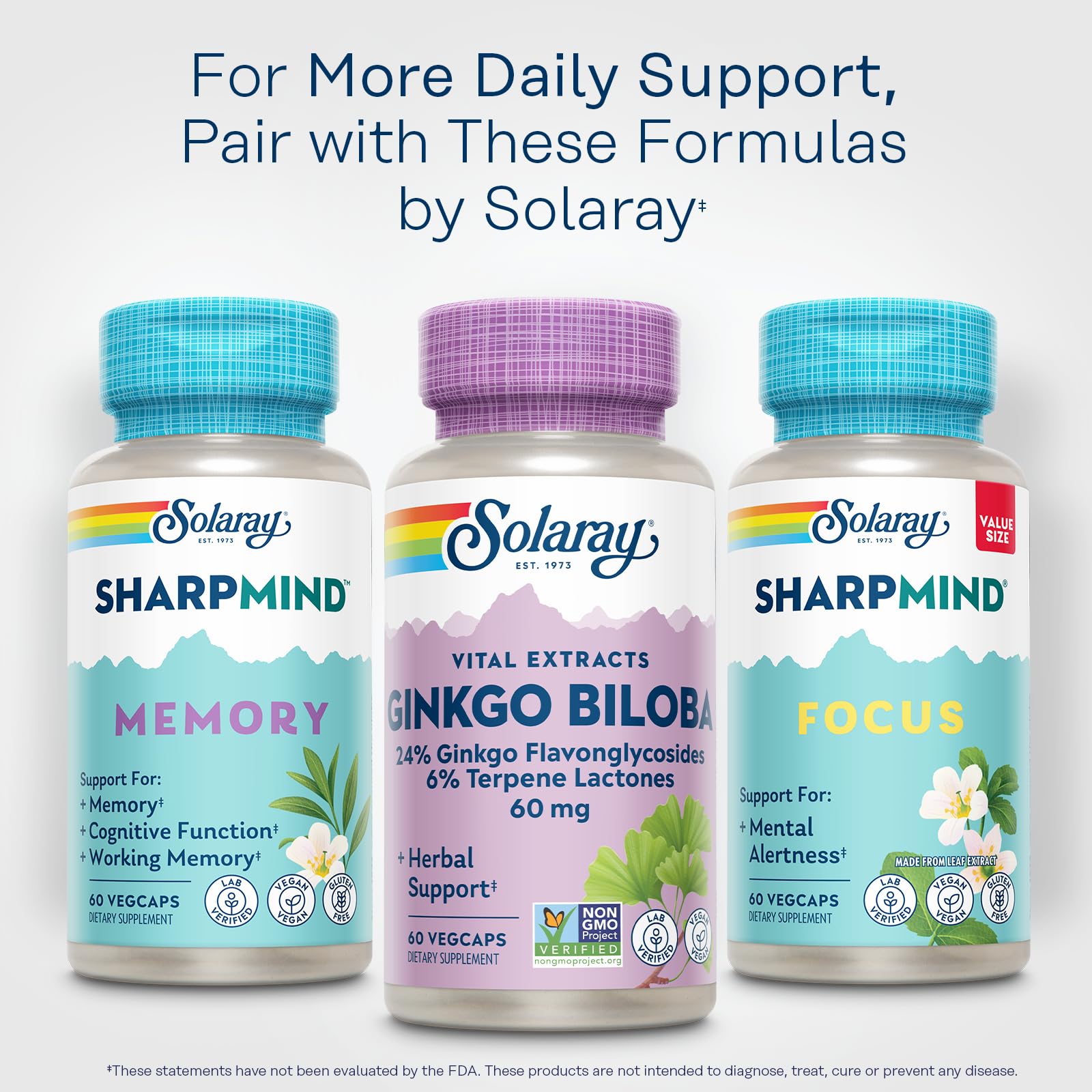 Conseils d utilisation SOLARAY Ginkgo Biloba: routine quotidienne pour le bien-être mental.