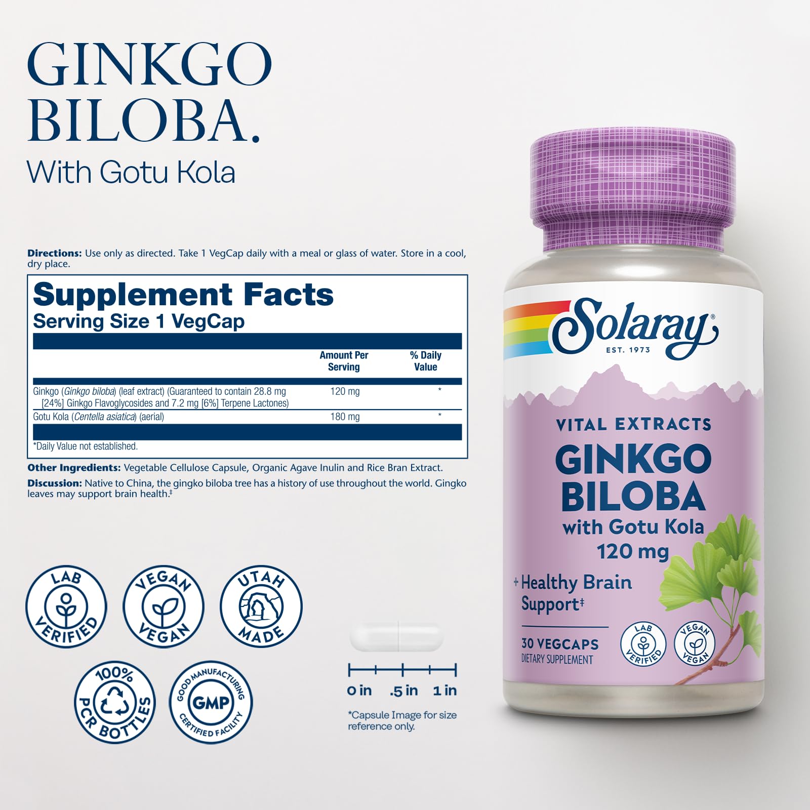 SOLARAY ginkgo-biloba et gotu-kola sur fond neutre, complément naturel quotidien