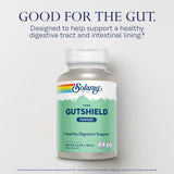 SOLARAY Gutshield Poudre — ingrédients l-glutamine, vitamine C et zinc