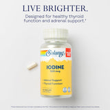 SOLARAY Iode 500 mcg — Étui-carton: emballage clair et durable pour la conservation.