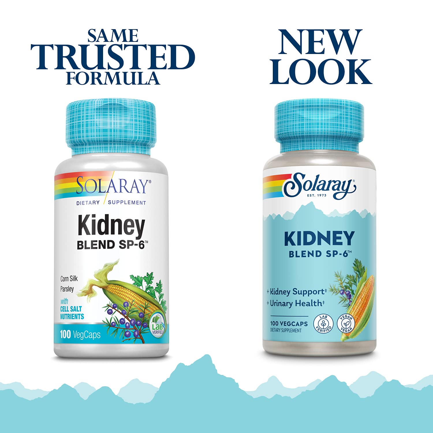 Solaray Kidney Blend SP-6 – capsules véganes faciles à intégrer à votre routine bien-être.