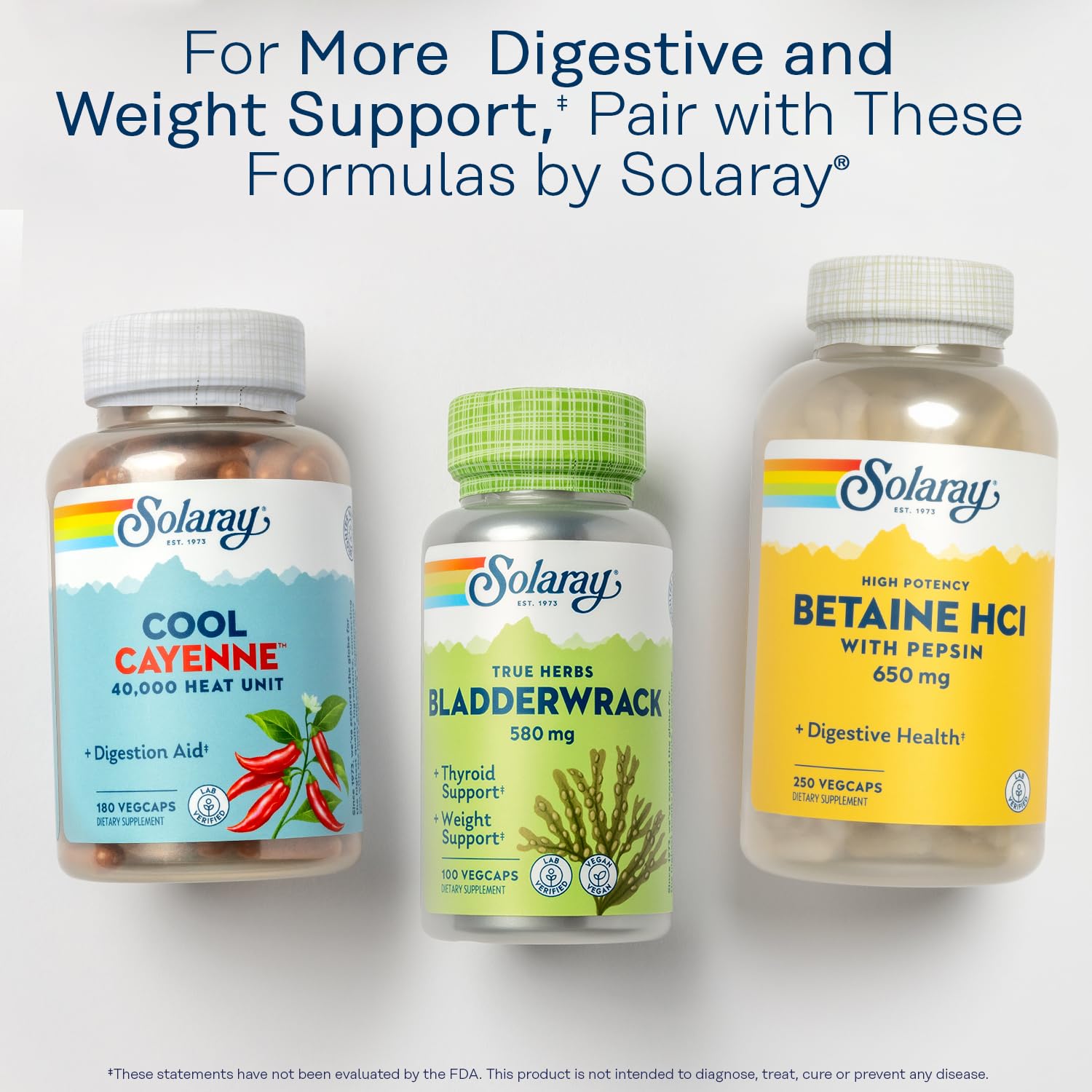 SOLARAY Lipotropic 1000 Plus – laboratoire interne assure pureté et contrôle qualité.