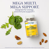 Solaray Mega Multi Minéraux – Minéraux chelatés pour une absorption potentiellement améliorée.