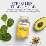 SOLARAY Mega Vitamin B-Stress: dose quotidienne recommandée pour un soutien énergétique potentiel.