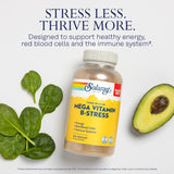 Étiquette SOLARAY Mega Vitamin B-Stress montrant les composants et la traçabilité.