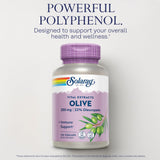 SOLARAY mélisse 85 mg: formulation apaisante pour le quotidien.