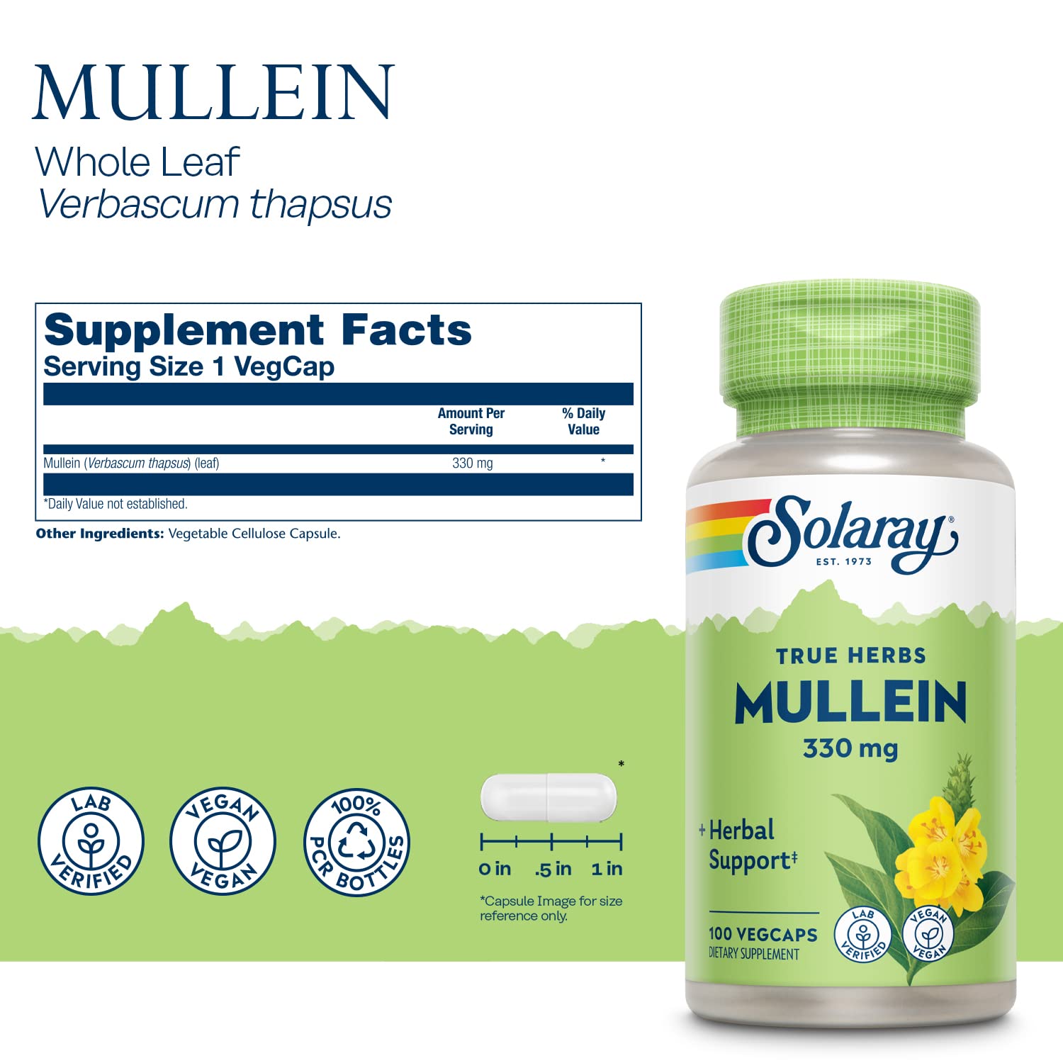 SOLARAY Mullein Leaf – Gelules véganes: capsules pratiques pour l usage quotidien.