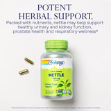 SOLARAY Nettle Leaf soutien prostate – capsule visible suggérant un soutien prostatique potentiel.