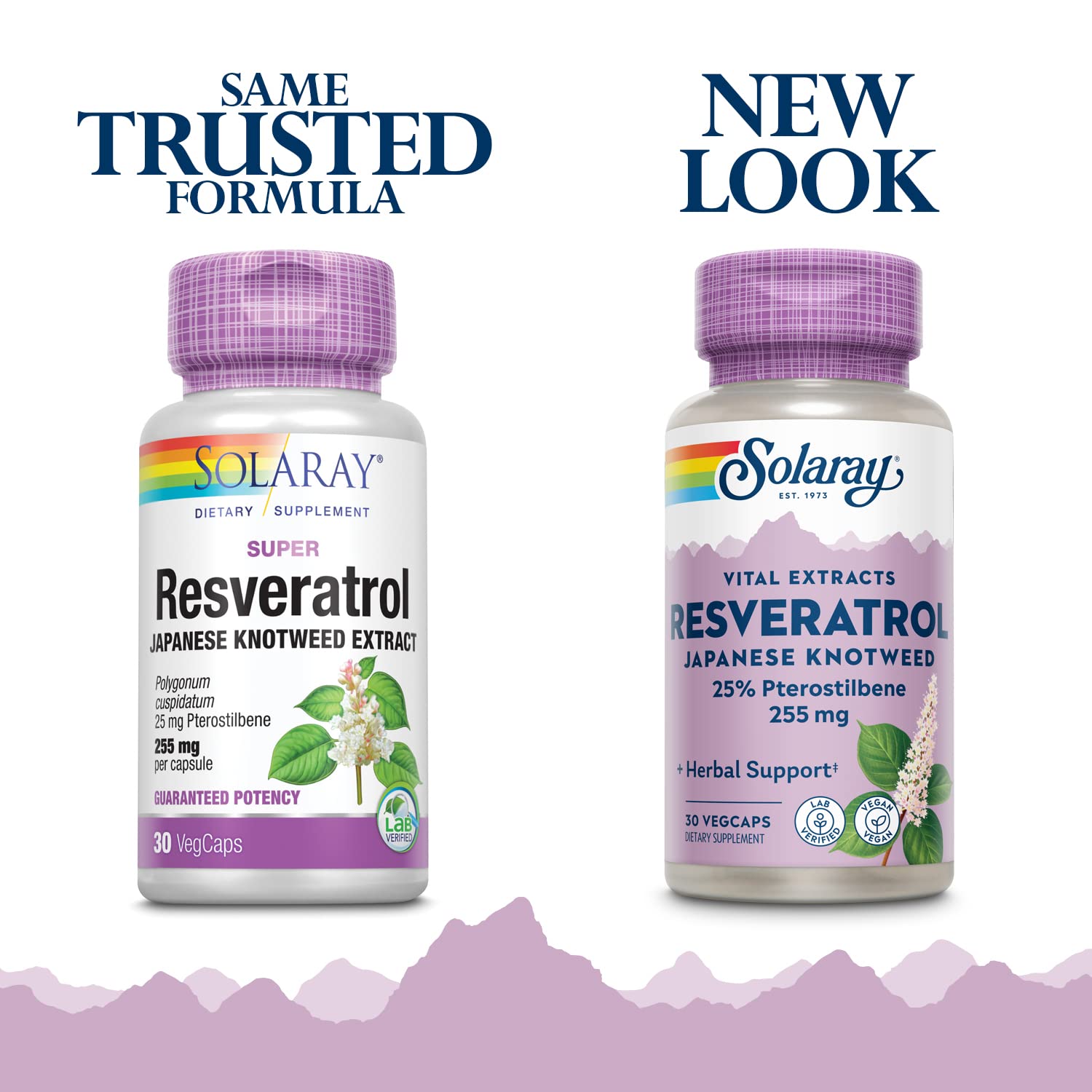 SOLARAY Resveratrol Pterostilbene – capsules prêtes à l'emploi pour la vitalité et le soutien quotidien