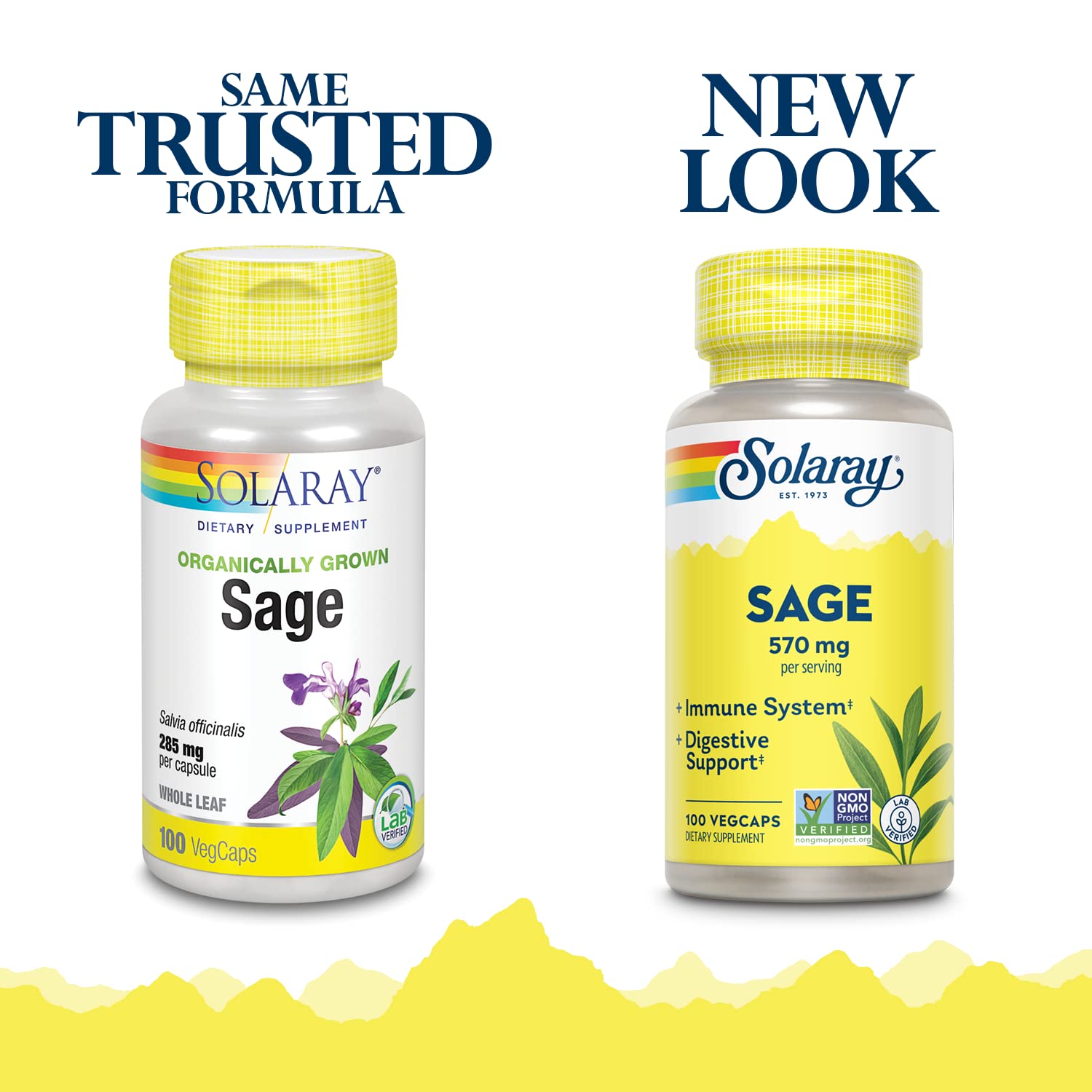 SOLARAY Sauge feuilles capsules : prise facile avec un mode de vie sain.