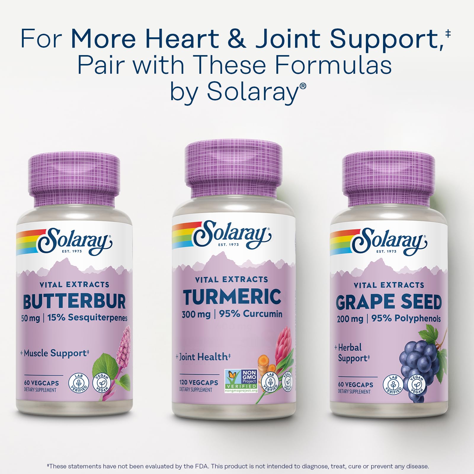 SOLARAY Turmeric – Flacon durable avec 120 portions pour la durée du programme.