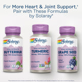 SOLARAY Turmeric – Flacon durable avec 120 portions pour la durée du programme.
