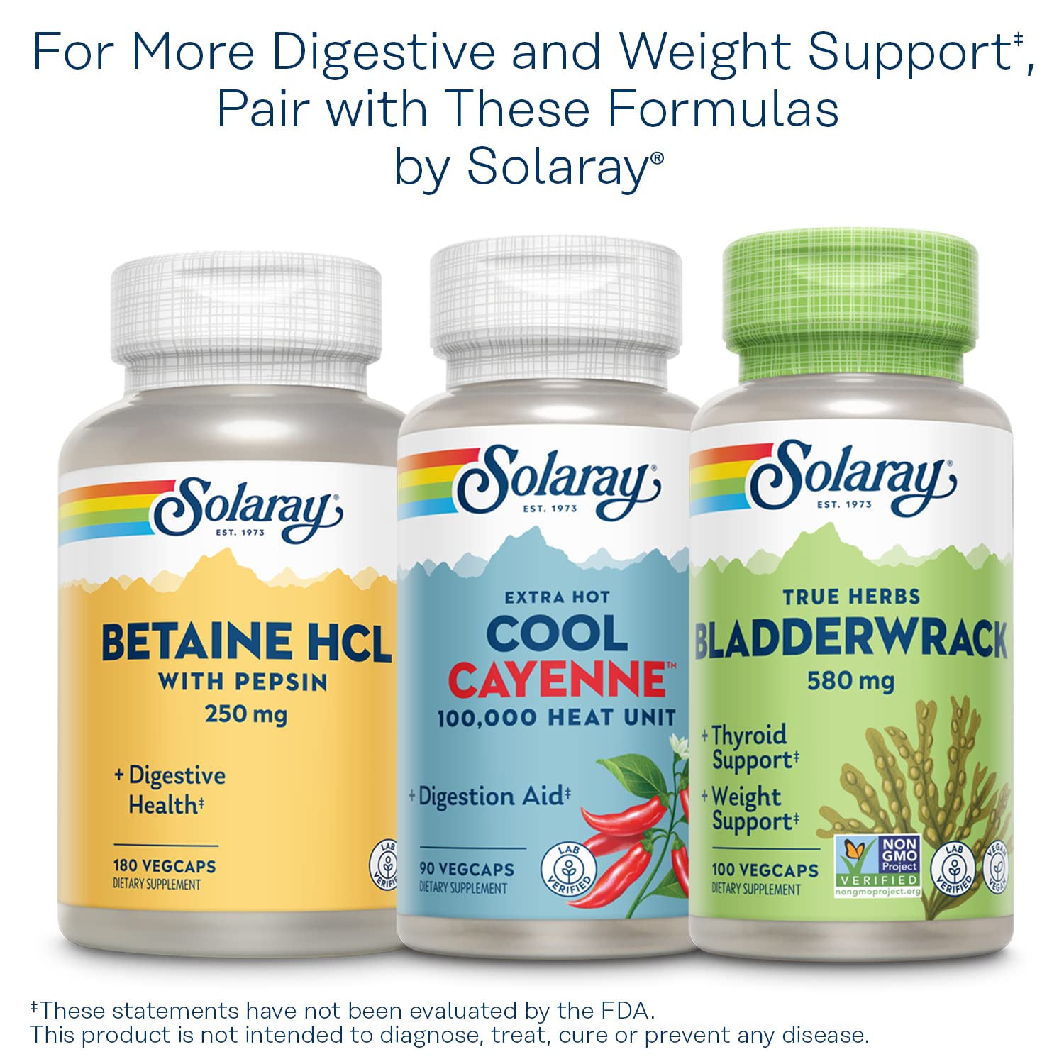 SOLARAY Lipotropic 1000 Plus - usage quotidien: intégration facile dans la routine