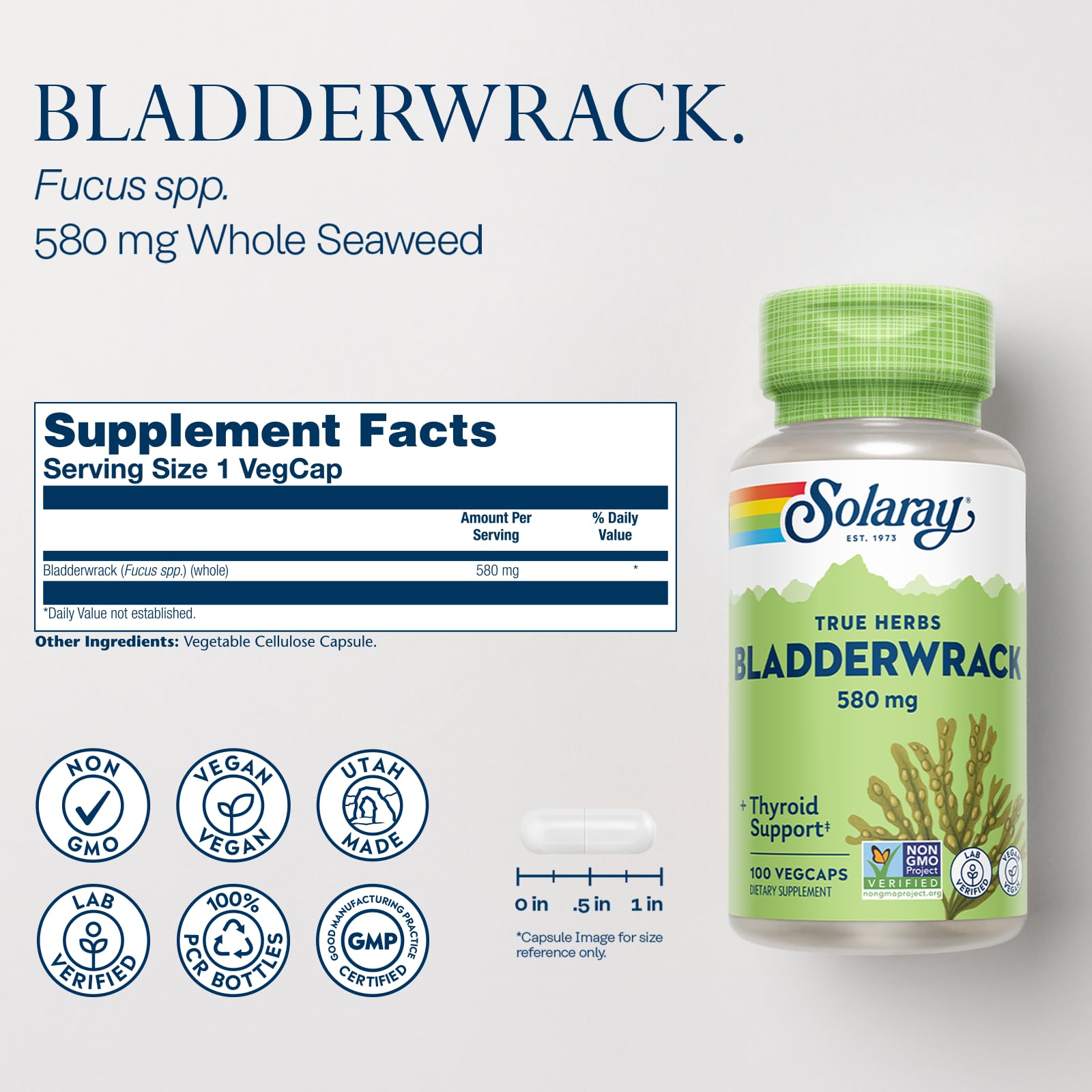 SOLARAY varech-vesiculeux bouteille – gélules faciles à avaler pour une routine nutritionnelle.