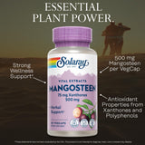 SOLARAY Mangoustan 500 mg - Étui respectueux de l'environnement et packaging recyclable.
