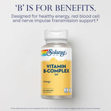 SOLARAY Vitamine B Complex – Illustration des ingrédients et vitamines B