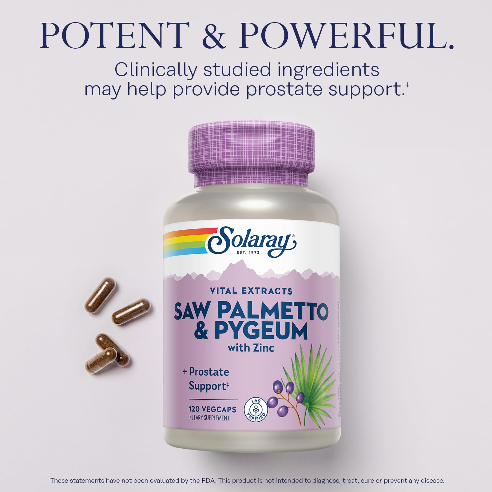 SOLARAY zinc et vitamine B6 avec graines de citrouille – soutient du métabolisme et vitalité masculine