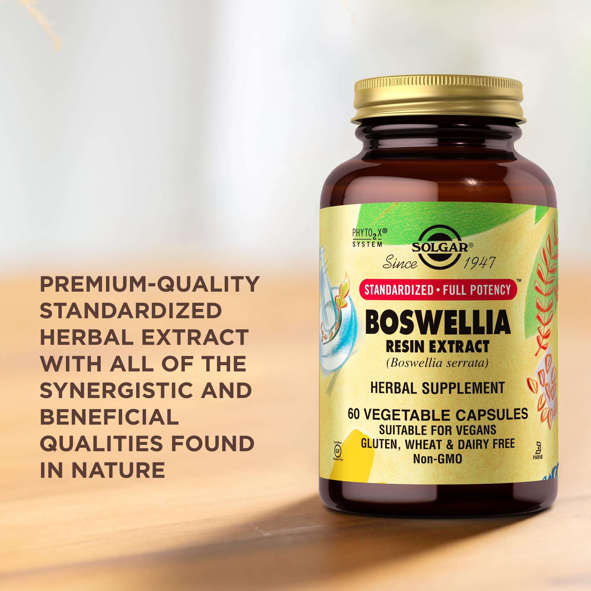 Solgar Boswellia Extrait de Résine — dose journalière recommandée en gélules.