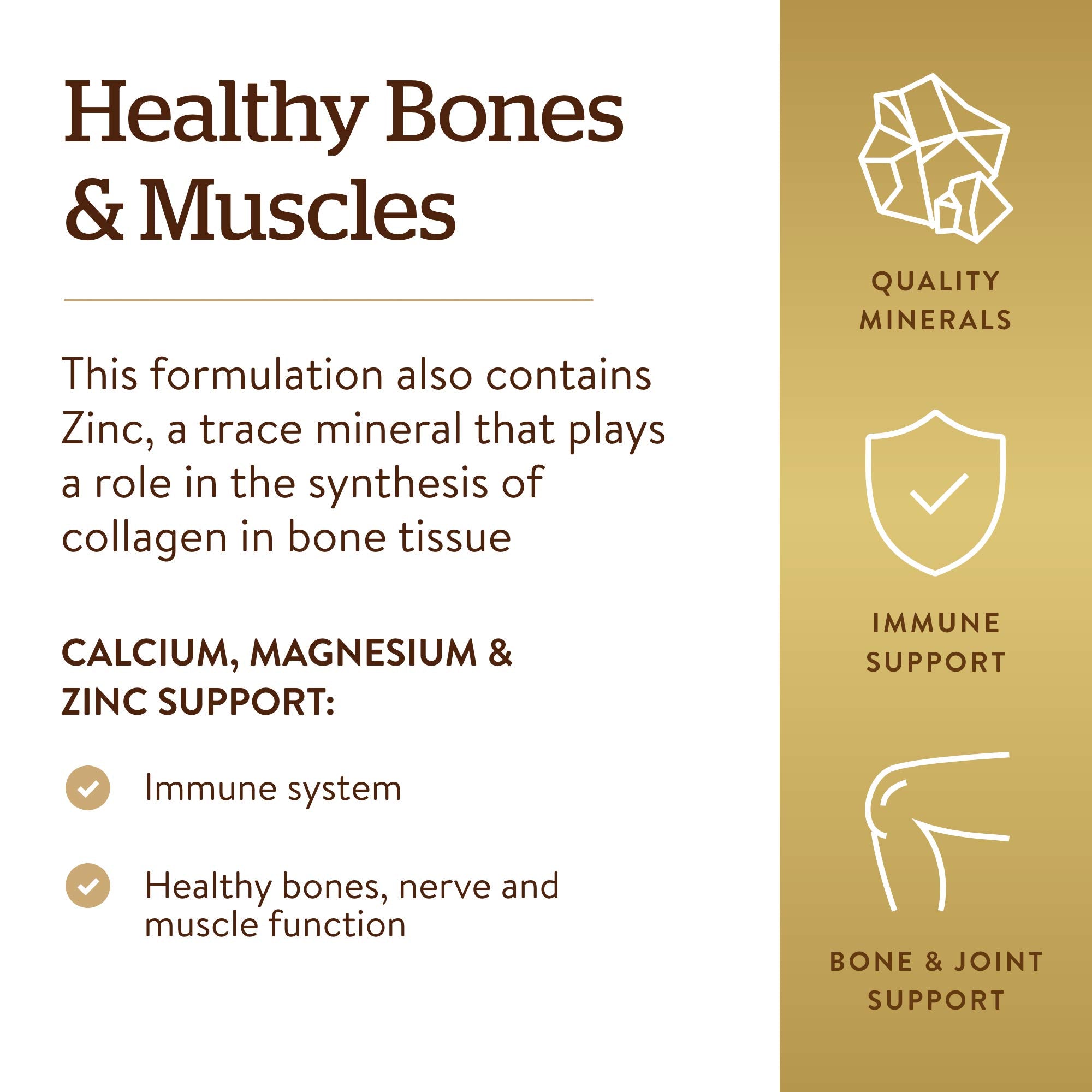 Solgar Calcium Magnesium Zinc, focus sur la fonction musculaire et nerveuse au quotidien.