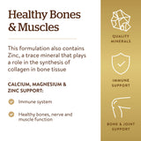 Solgar Calcium Magnesium Zinc, focus sur la fonction musculaire et nerveuse au quotidien.