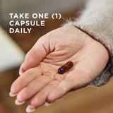 Gélules liquides Solgar Curcumin pour soutien cérébral potentiel