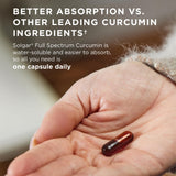 Solgar Curcumine Spectre Complet — étiquette vegan et sans gluten, promesse d’un supplément propre.