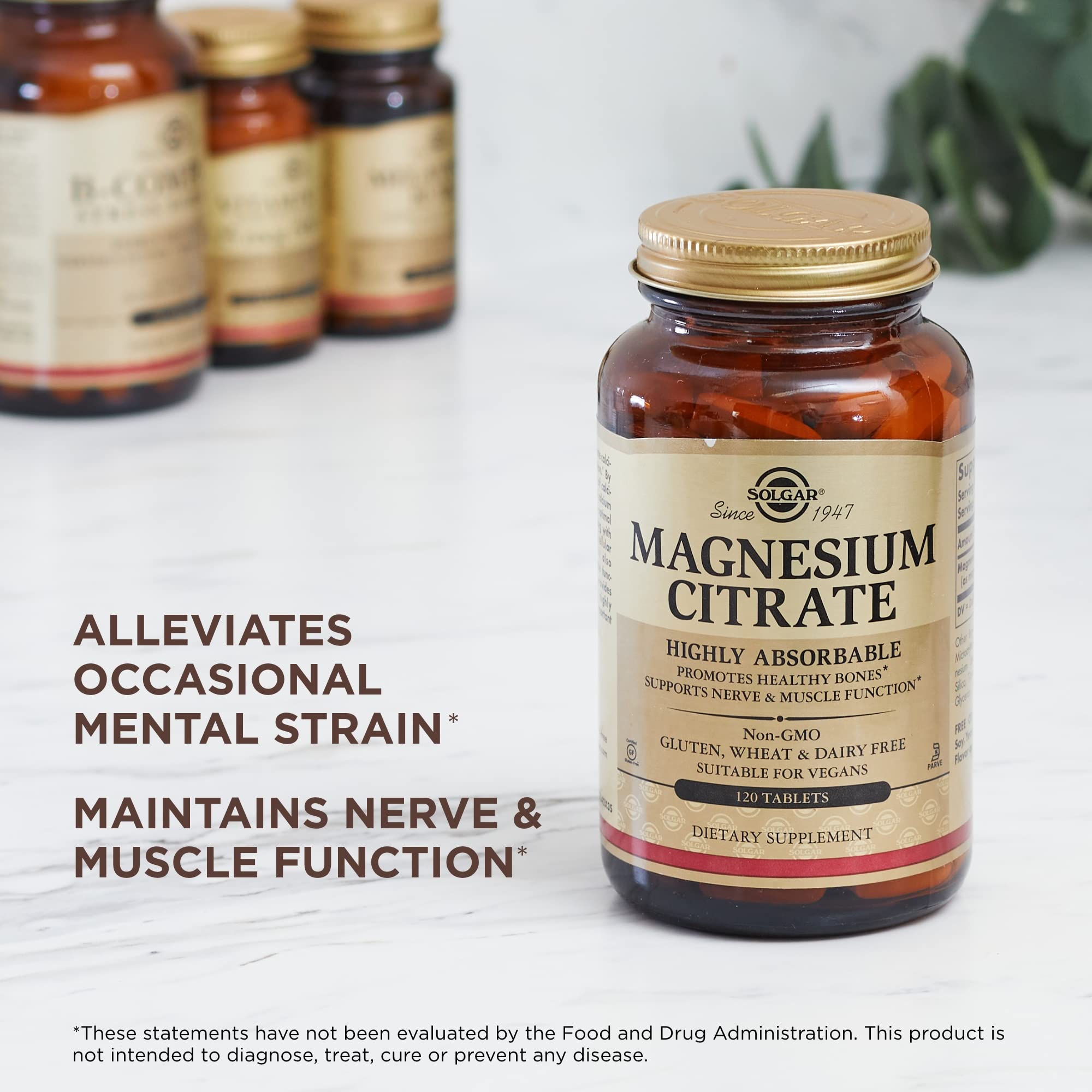 Solgar Magnésium Citrate, routine quotidienne suggérée pour harmonie et énergie