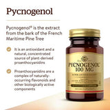 Solgar Pycnogenol 100 mg – flacon de capsules végétales, soutien potentiel à la circulation des jambes.
