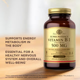 Solgar Vitamine B1 – fiche nutritionnelle, valeurs claires et usage quotidien.